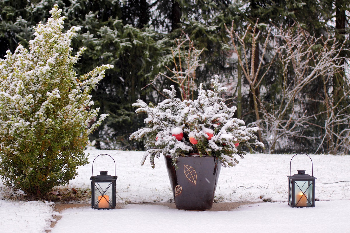 Lanterns on terrace in the snow