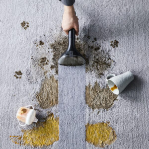 Testujeme: Čistič skvrn a tepovač ROWENTA CLEAN IT 