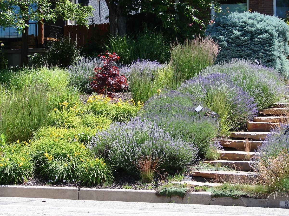 Xeriscaping je způsob úpravy zahrady, která na údržbu nevyžaduje mnoho vody.
