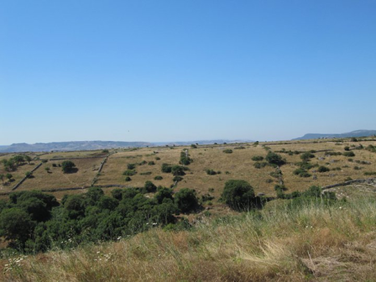 Vnitrozemí Sardinie pokrývá suchá stepní krajina