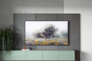 Obývací stěna s velkou TV na šedém panelu, pod ní závěsná skříňka v mátové barvě; před ní šedá sedačka a tkaný koberec.