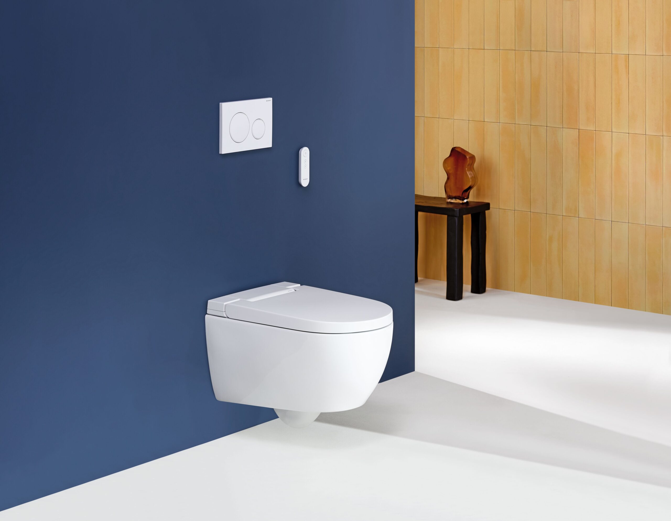 2024_Geberit AquaClean Alba_Private_Remote control_Sigma20 round_side