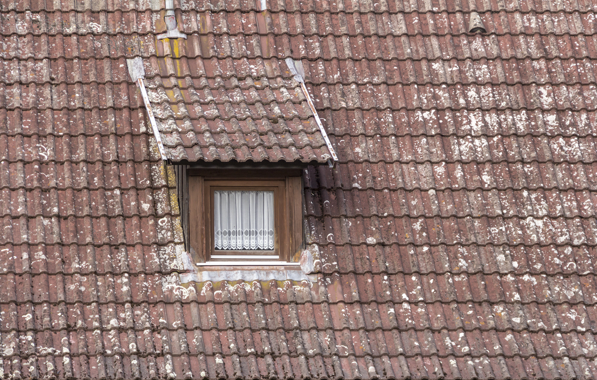 Dormer-with-window