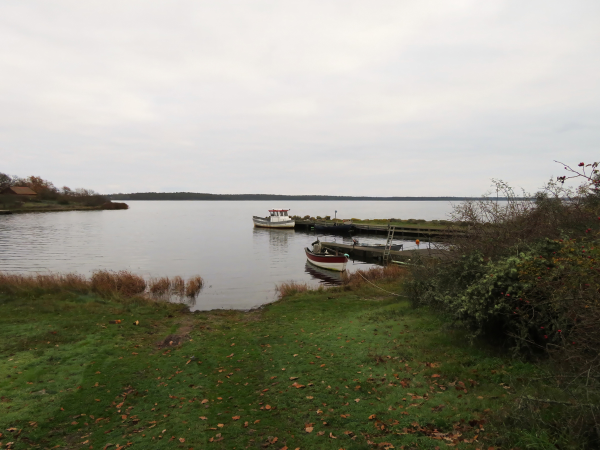 Malé dřevěné loďky zakotvené u břehu jezera obklopeného podzimní přírodou.