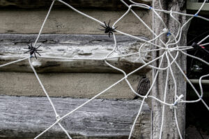 Domácí halloweenská dekorace z provázku a plastových pavouků na dřevěné stěně.