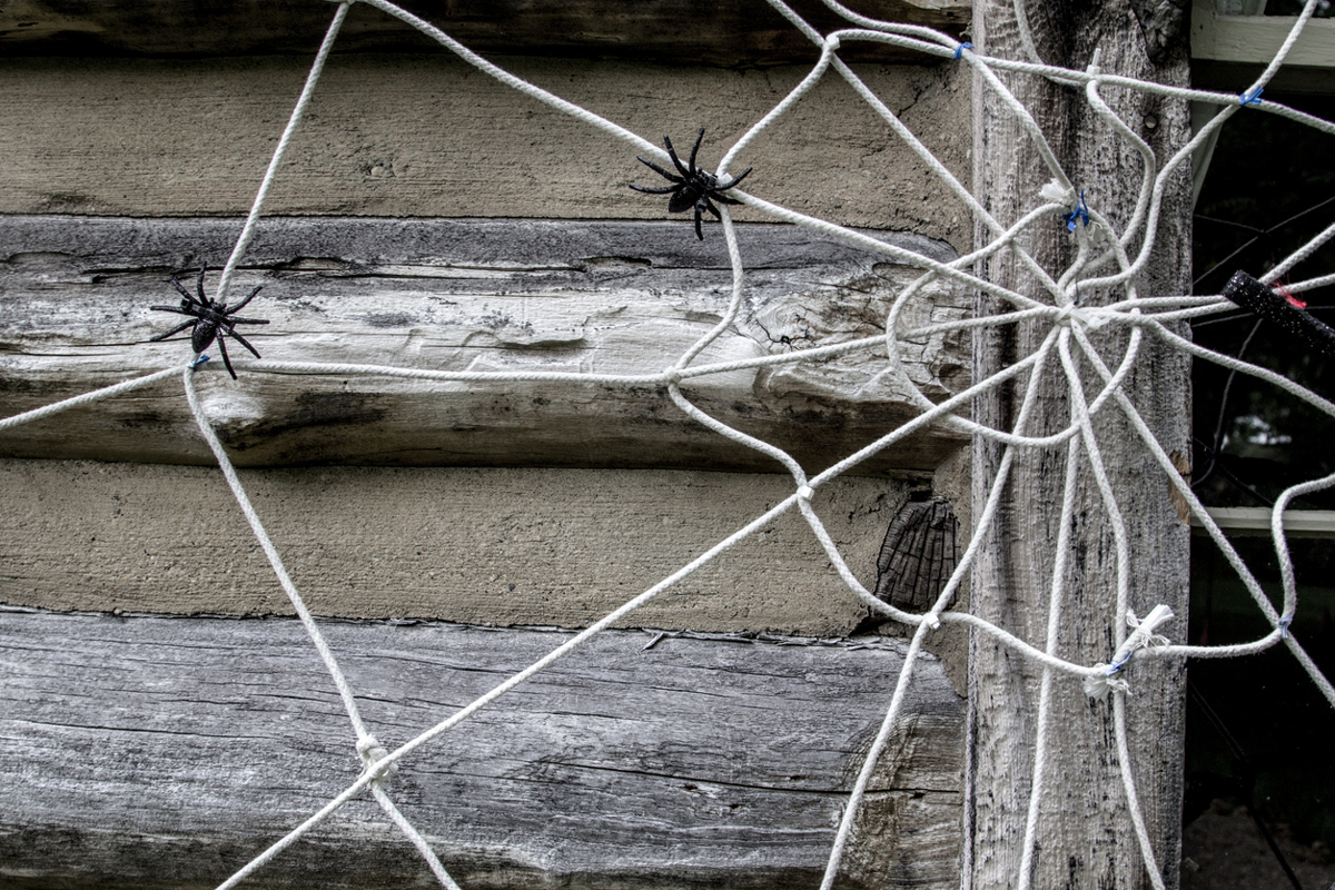 Domácí halloweenská dekorace z provázku a plastových pavouků na dřevěné stěně.