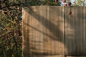 Fasáda sauny z vlnitého sklolaminátu pod větvemi jabloně v městské zahradě.