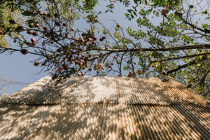 Detailní pohled na fasádu sauny tvořenou vrstvami vlnitého sklolaminátu v organickém tvaru.