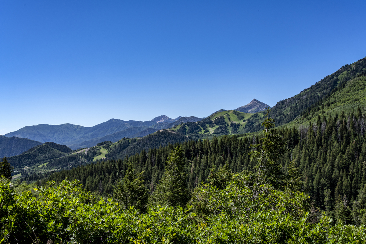 Letní krajina s horskými vrcholky, zelenými lesy a jasně modrou oblohou.