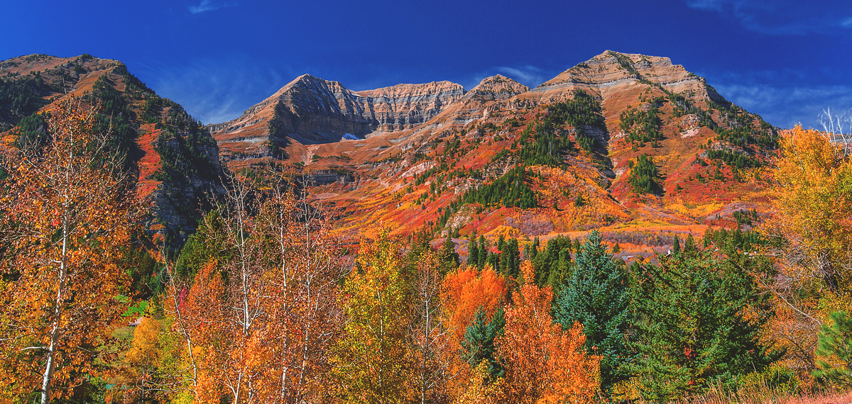 Barevné podzimní svahy a lesy pod horami v oblasti Mount Timpanogos v Utahu.