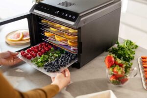 sušička ovoce Gorenje