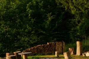 Jednoduché posezení z pařezů a dřevěných špalků u ohniště vytváří přirozené centrum dění u chaty Bebech.