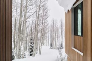 Dřevěná fasáda horské chaty obklopené zasněženým lesem.