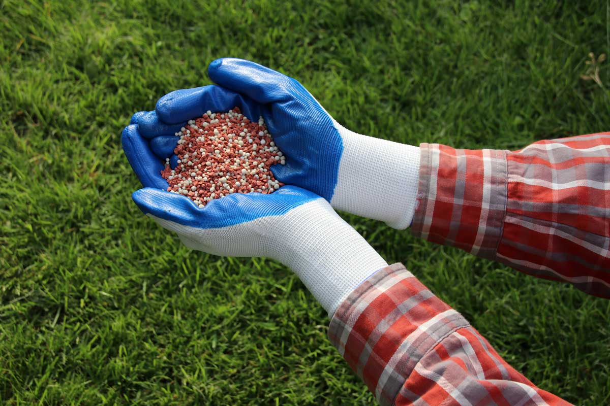 podzimní hnojení trávniku
