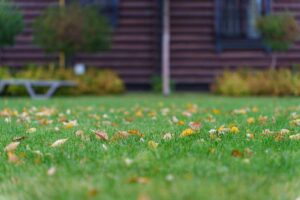 Podzimni_pece_o_travnik