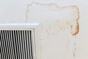 Únik vody není jen pohroma pro peněženku. Kromě plísní může narušit i zdivo. Jak ho za pár minut odhalit?