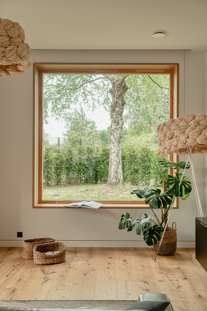 Pohled z interiéru domu přes velké okno na zahradu se stromem a keři.