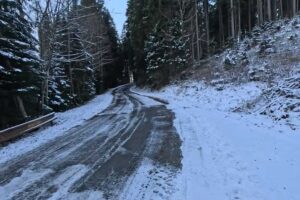 Stezka u rybníka v Mezihoří dnes