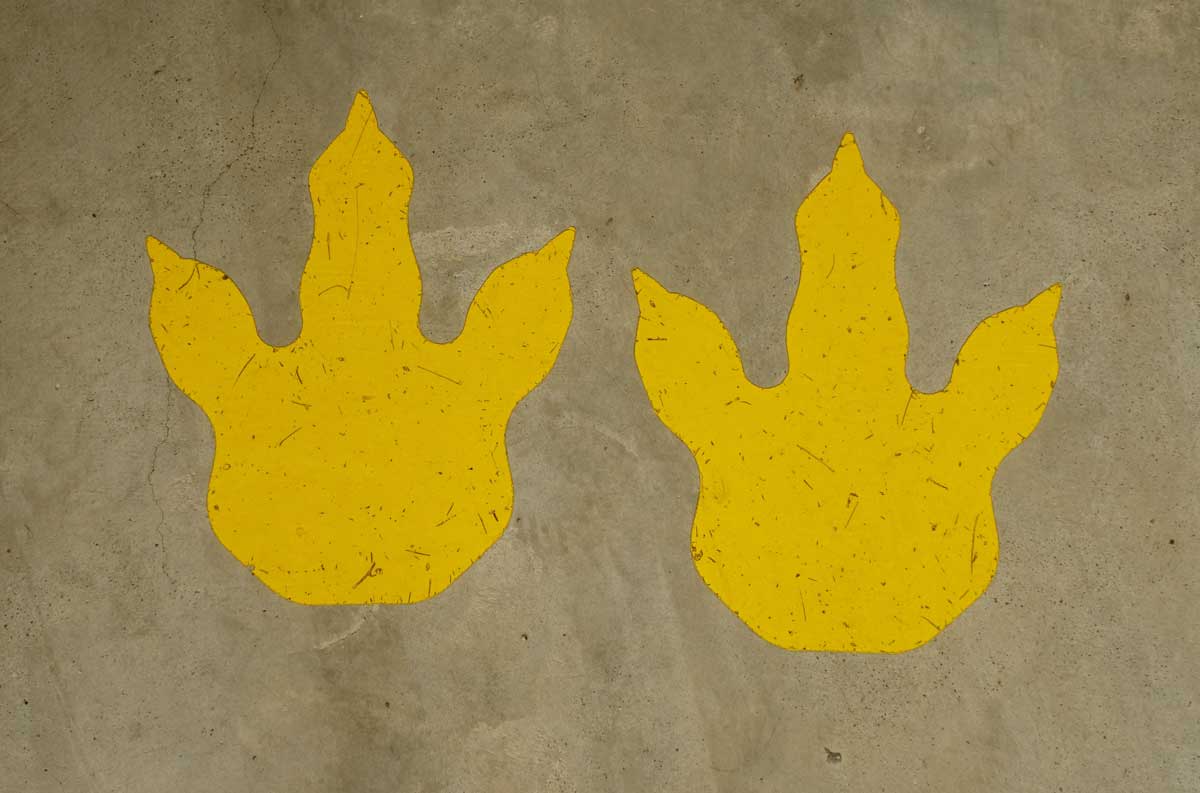 Žluté dinosauří stopy namalované na podlaze jako součást dětské hry