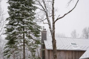 Moderní dům ze surového dřeva zasazený v zasněženém lese, který respektuje terén a okolní přírodu.