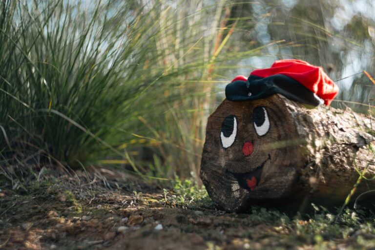 Katalánské vánoční polínko Tió de Nadal s namalovaným obličejem a červenou čepicí leží v přírodě a připomíná jednu z nejpodivnějších vánočních tradic Španělska.