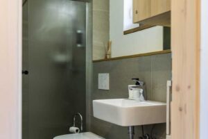 Minimalistická koupelna v horské chatě s umyvadlem, sprchovým koutem a přirozeným světlem