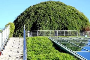 Moderní podzemní stavba skrytá pod hustou vegetací a přístupovou cestou