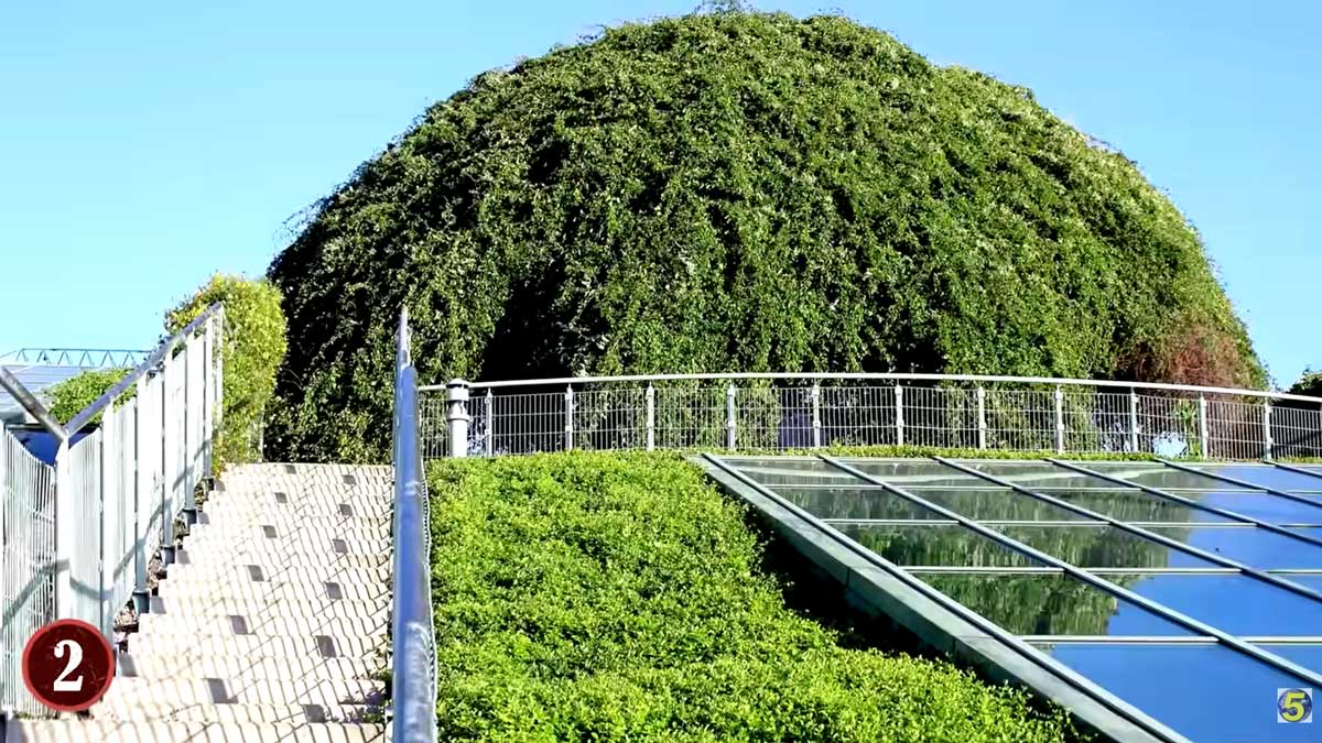 Moderní podzemní stavba skrytá pod hustou vegetací a přístupovou cestou