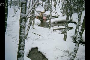 Popelka pere prádlo u potoka v zimní krajině