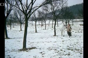 Popelka se sovou Rozárkou v zimním sadu