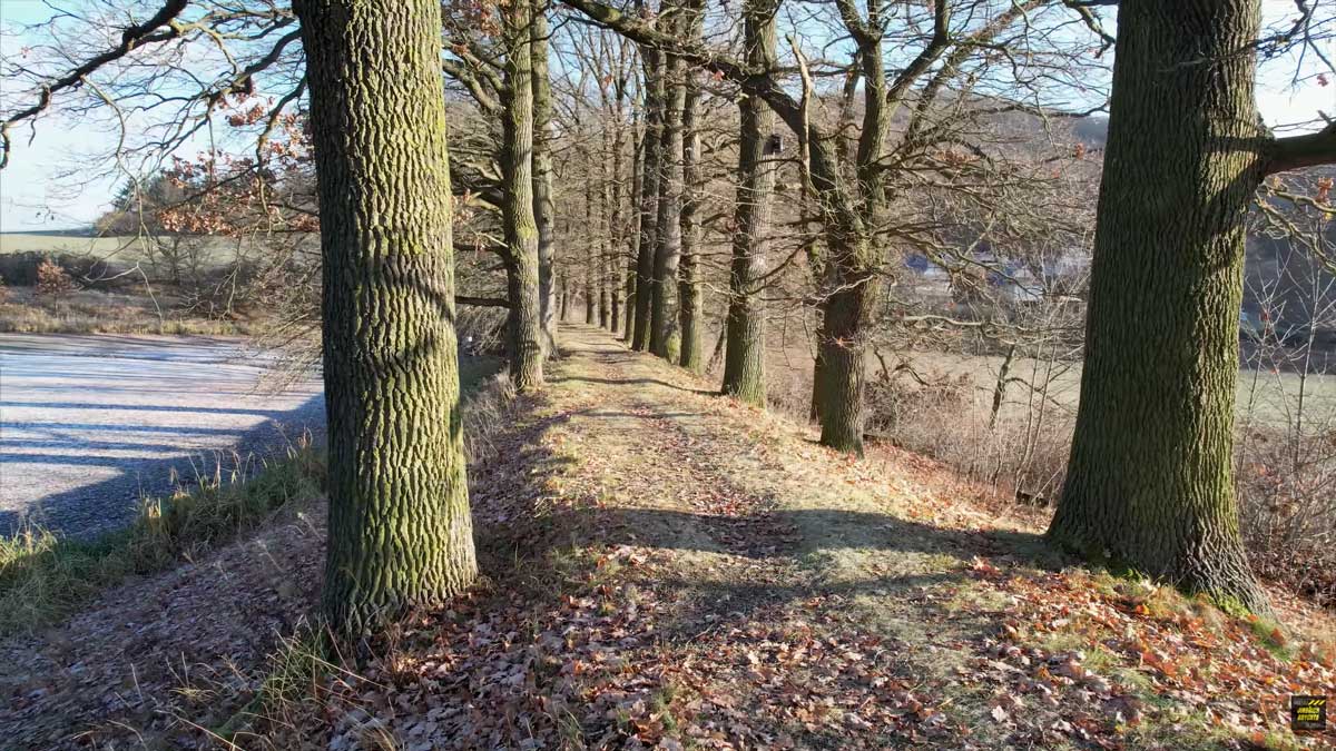 Stezka u rybníku v Mezihoří v současnosti