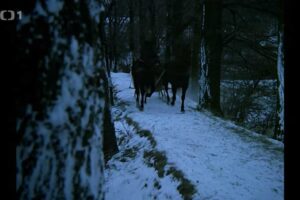 Stezka u rybníku v Mezihoří s koňmi ve filmové scéně