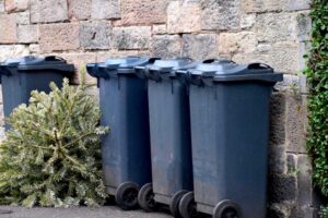 Odložený vánoční stromek u popelnic na ulici bez určeného sběrného místa