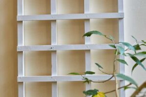 Dřevěná mříž slouží jako široká opora pro monsteru rostoucí do šířky a umožňuje tvarovat její stonky podél stěny.