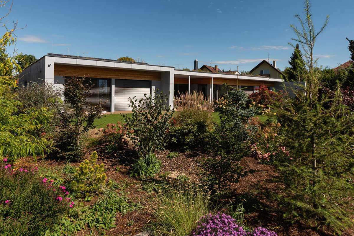 Heluz-rd-safranek©jirihlousekphoto-2056