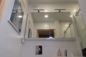 Malá koupelna v panelákovém bytě se sprchovým koutem a zrcadlovou skříňkou