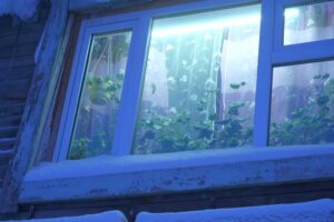 Okno starého dřevěného domu v Jakutsku ukazuje život v extrémním mrazu.