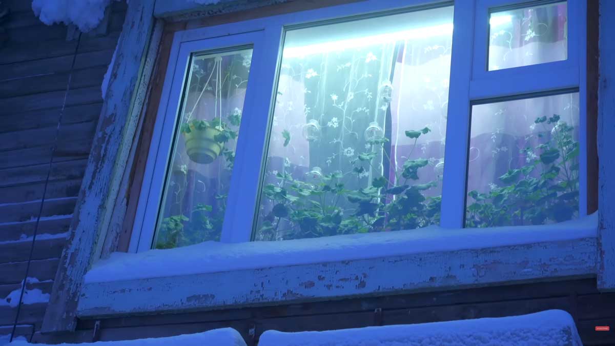 Okno starého dřevěného domu v Jakutsku ukazuje život v extrémním mrazu.