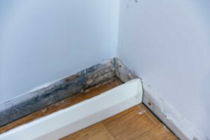 Plíseň a vlhkost ukrytá za podlahovou lištou u obvodové zdi