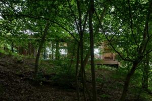 Dřevěná přístavba Domu Medník skrytá mezi stromy lesa