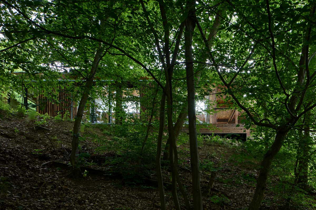 Dřevěná přístavba Domu Medník skrytá mezi stromy lesa