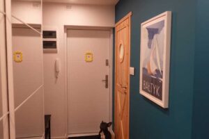 Předsíň po rekonstrukci s vestavěnými skříněmi a světlým barevným řešením