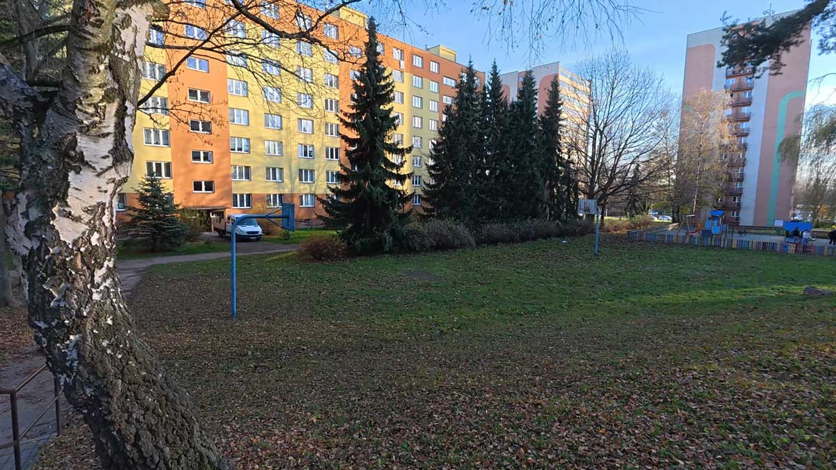 Panelové domy v Orlové obklopené zelení a vzrostlými stromy ukazují běžné prostředí místních sídlišť.