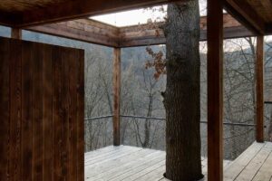 Krytá terasa obepínající vzrostlý dub na hraně lesa