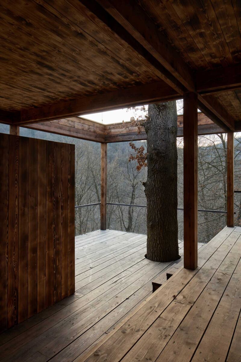 Krytá terasa obepínající vzrostlý dub na hraně lesa