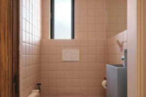 Růžová toaleta s keramickým obkladem a kompaktním sanitárním vybavením