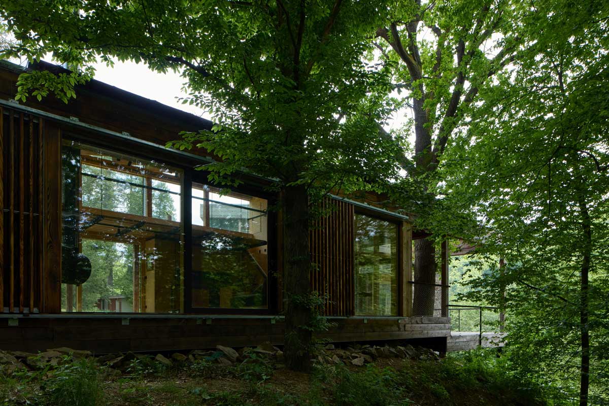 Velkoformátová okna ateliérového prostoru otevírající výhled do lesního svahu