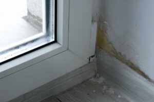 Kde se v zimě v bytě drží vlhkost a plíseň, aniž byste si toho všimli?