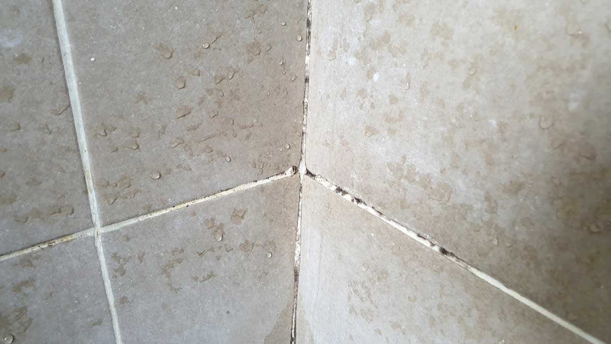 Vlhkost a počínající plíseň ve spárách v rohu koupelny