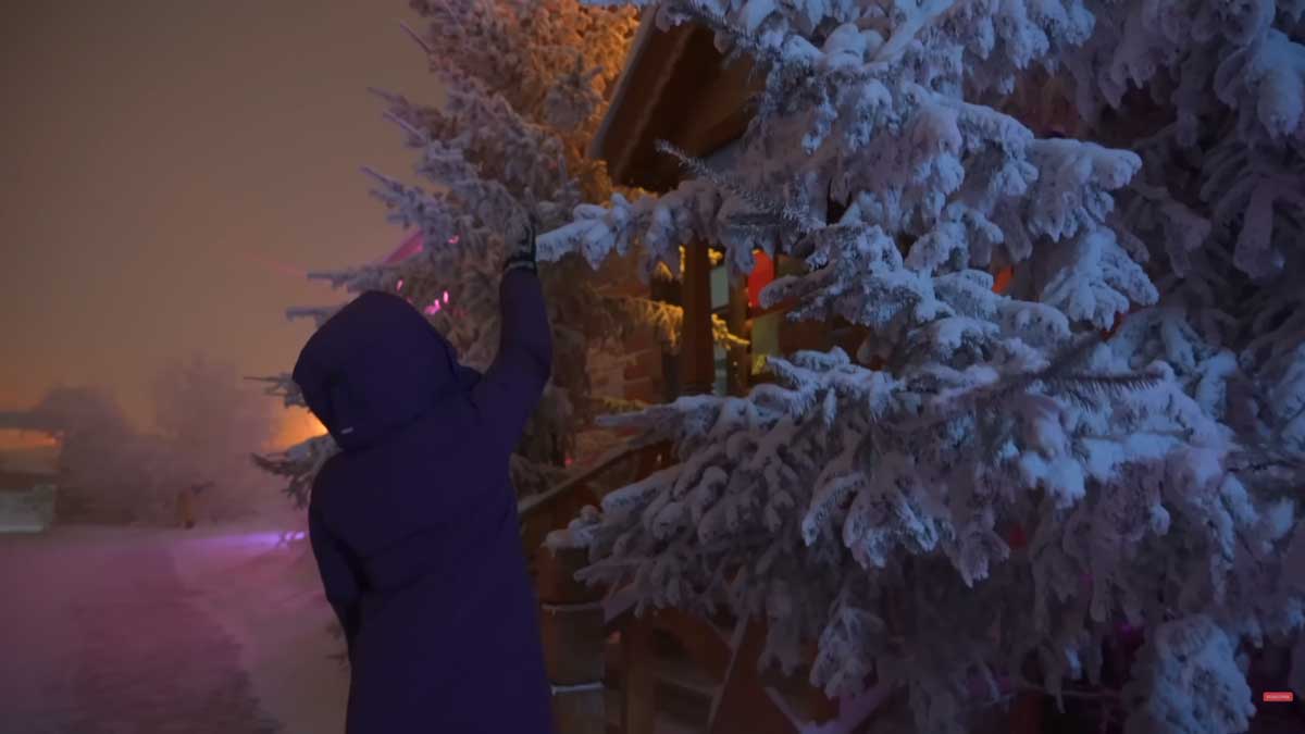 Stromy pokryté silnou jinovatkou ilustrují extrémní zimní podmínky v Jakutsku.